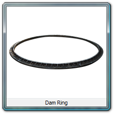 Damn Ring